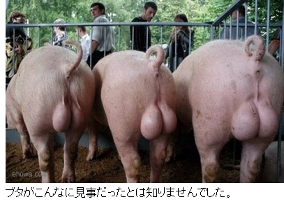 lac_(^o^)^68.6yߘa3Nxʼz YouTube>1{ ->摜>134 